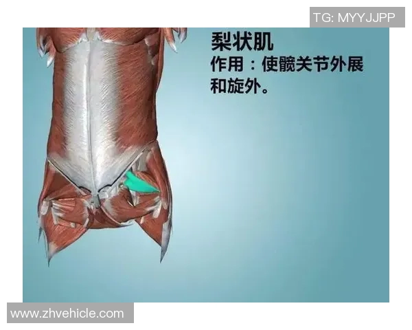 足球明星肌肉贴的正确贴法与技巧详解助你提升运动表现 足球明星肌肉贴的正确贴法与技巧详解助你提升运动表现